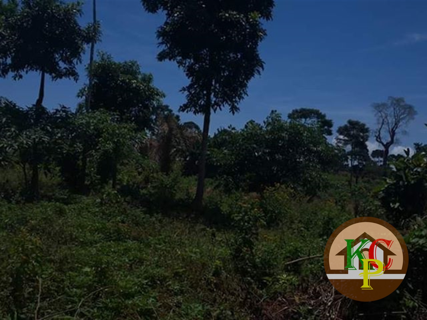 Agricultural Land for sale in Bugaba island Wakiso