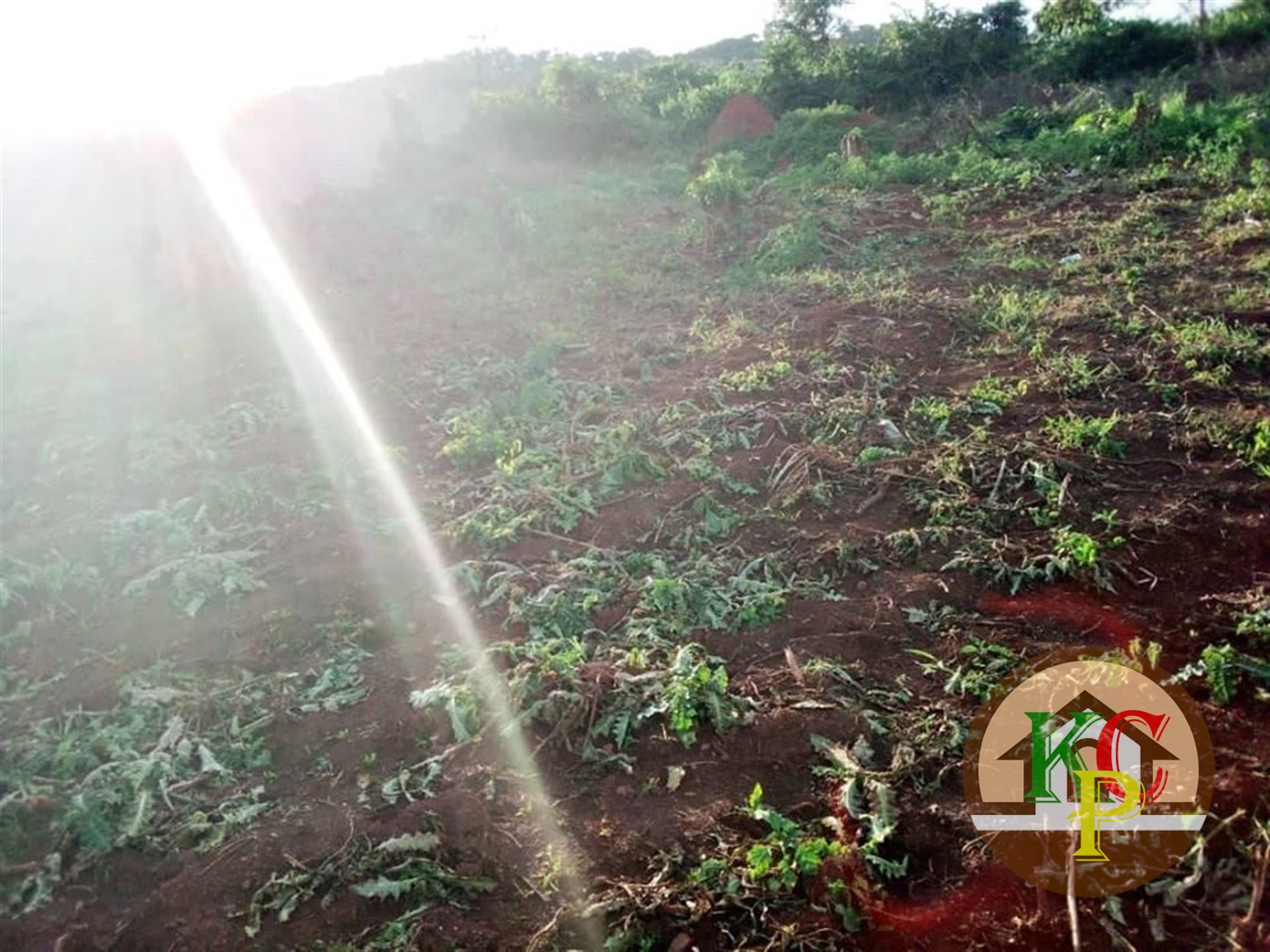 Residential Land for sale in Kigo Wakiso