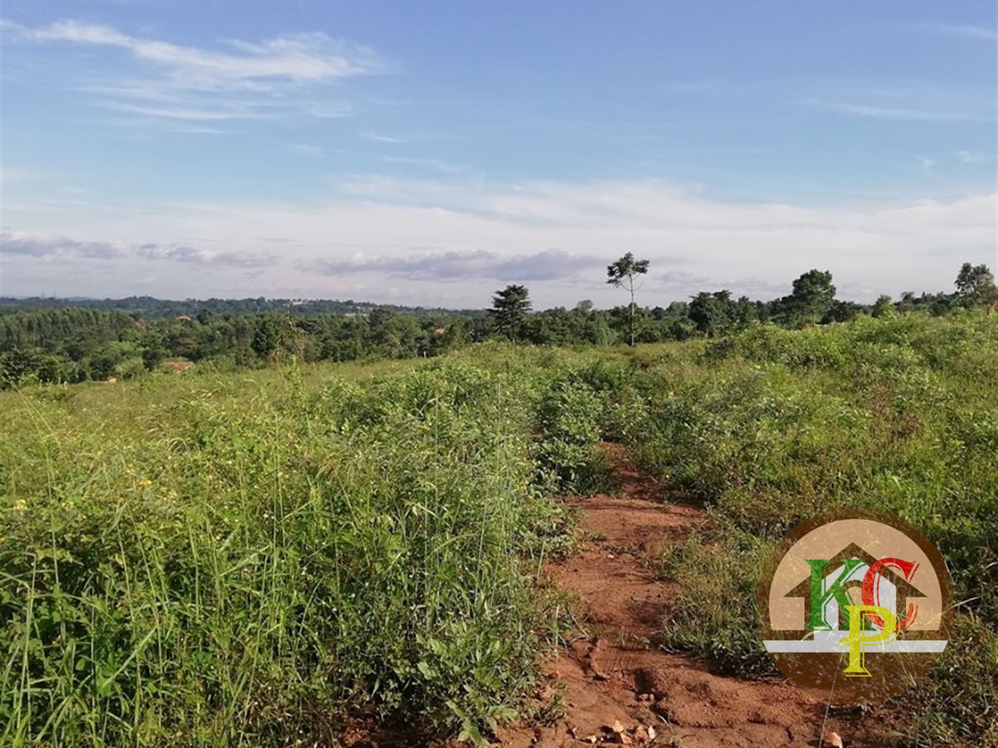 Residential Land for sale in Kiwenda Wakiso