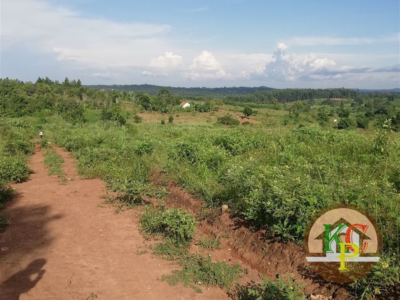 Residential Land for sale in Kiwenda Wakiso