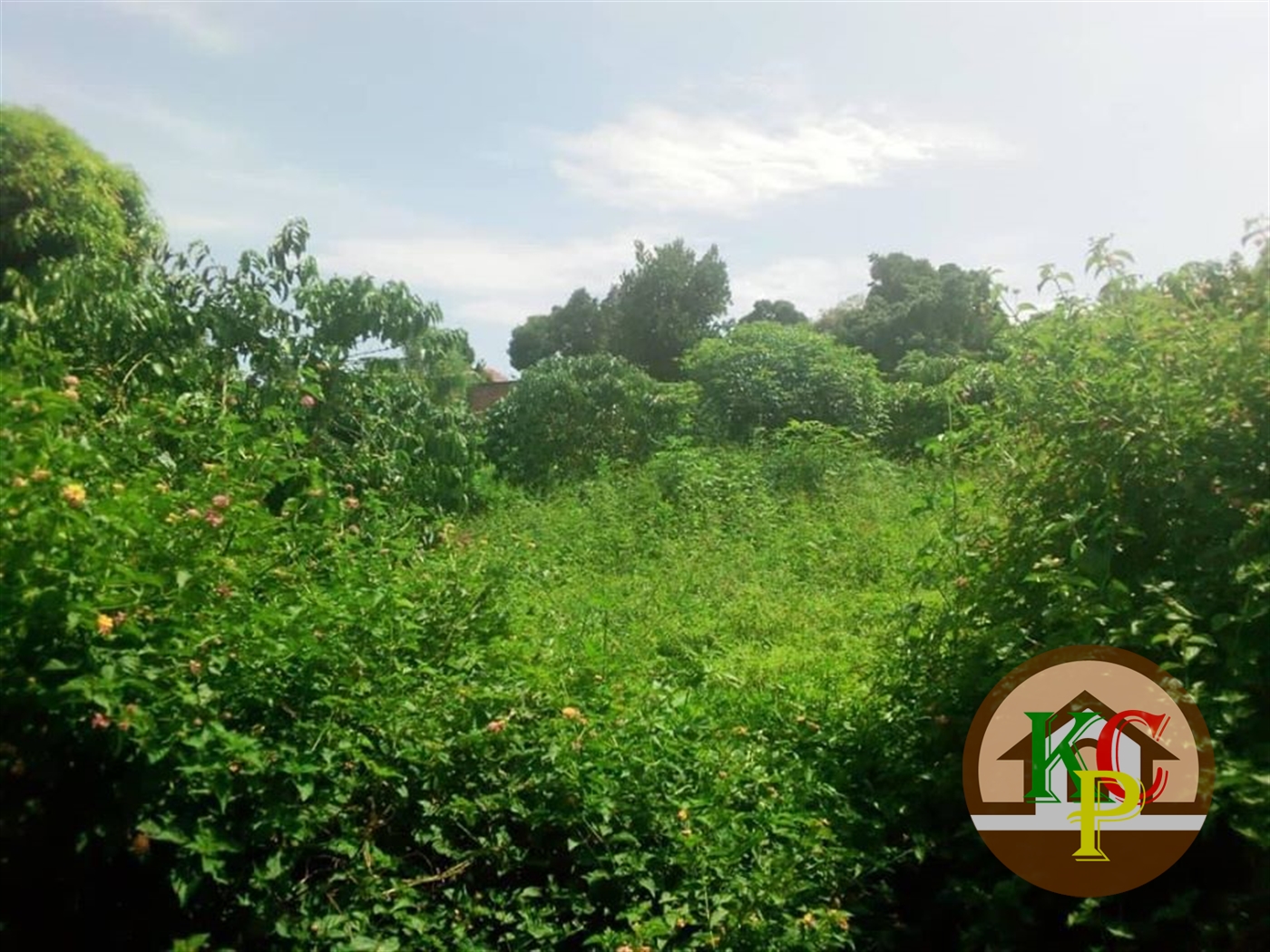 Residential Land for sale in Buyikwe Mukono