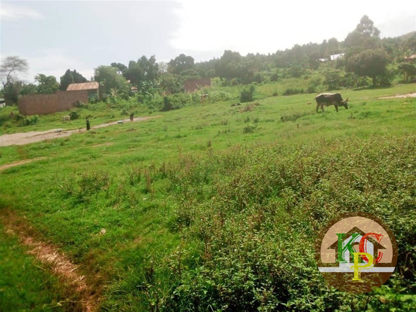 Residential Land for sale in Buyikwe Mukono