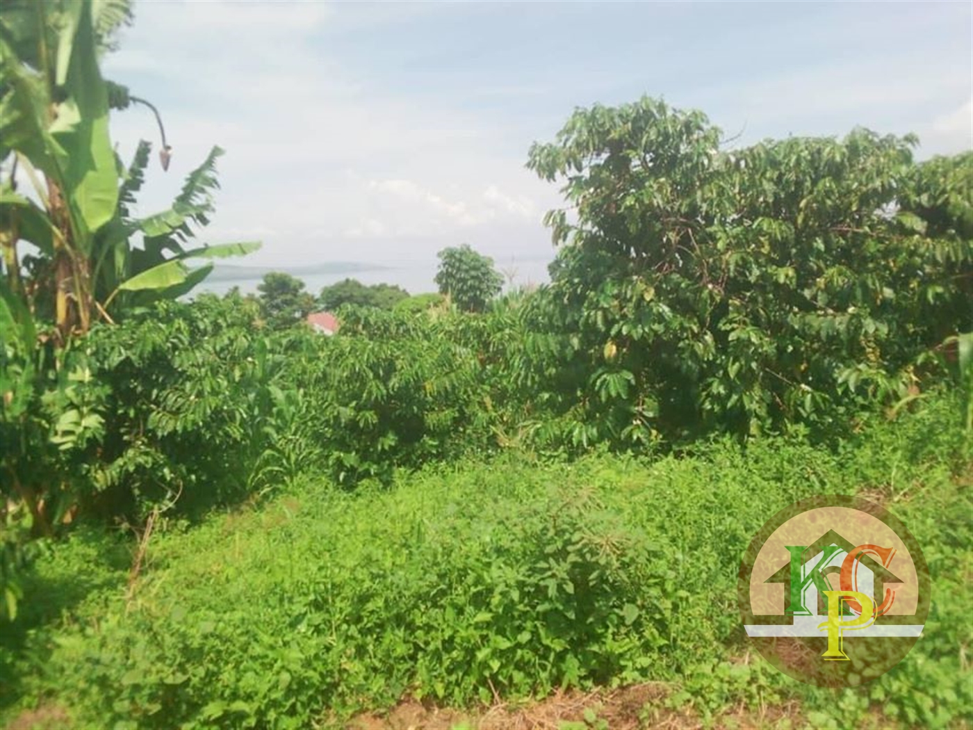 Residential Land for sale in Buyikwe Mukono