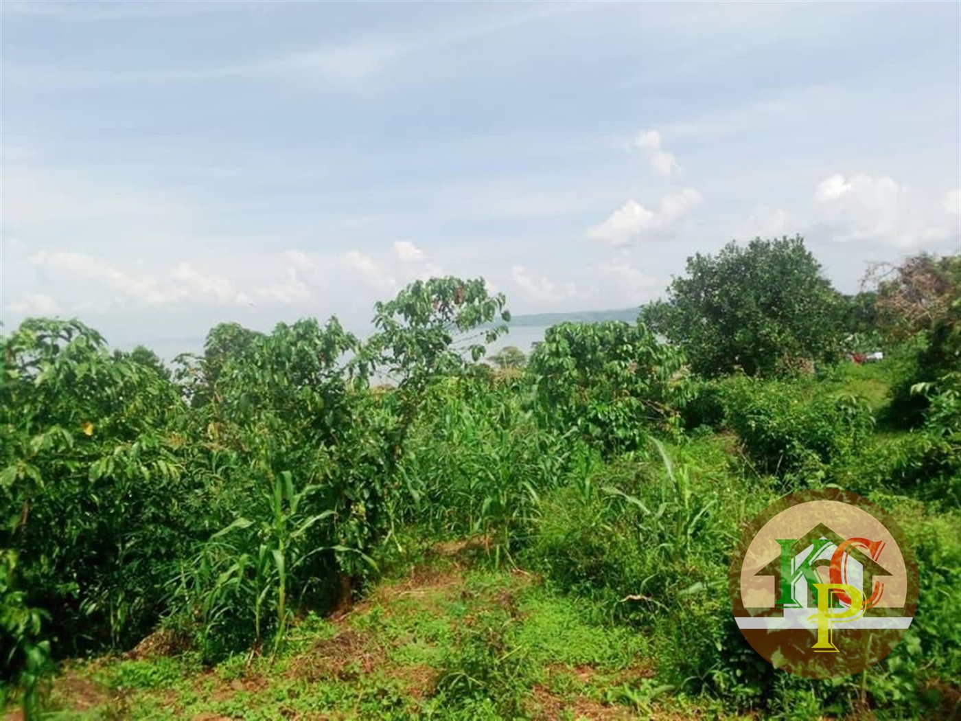 Residential Land for sale in Buyikwe Mukono