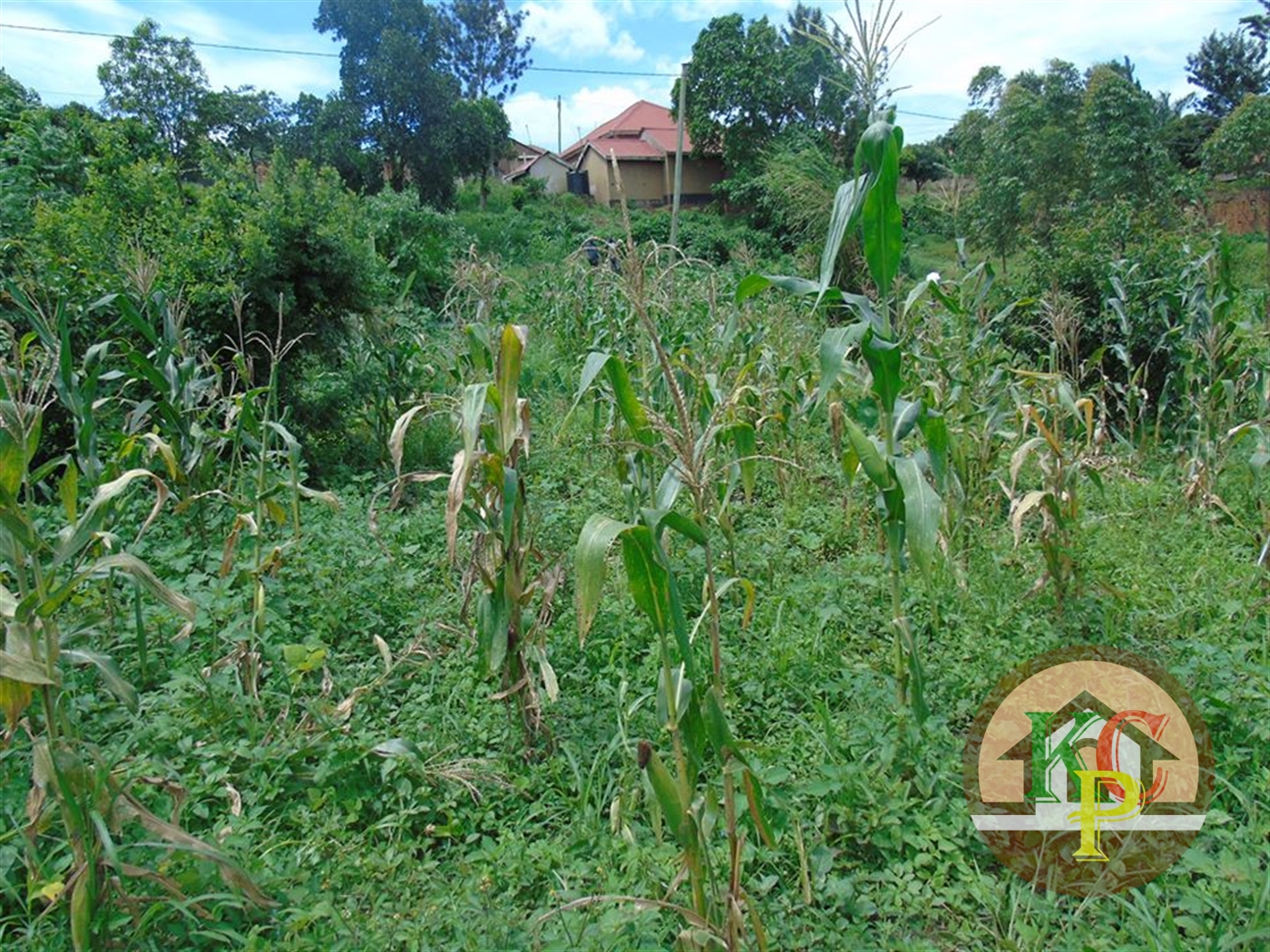 Residential Land for sale in Kira Wakiso