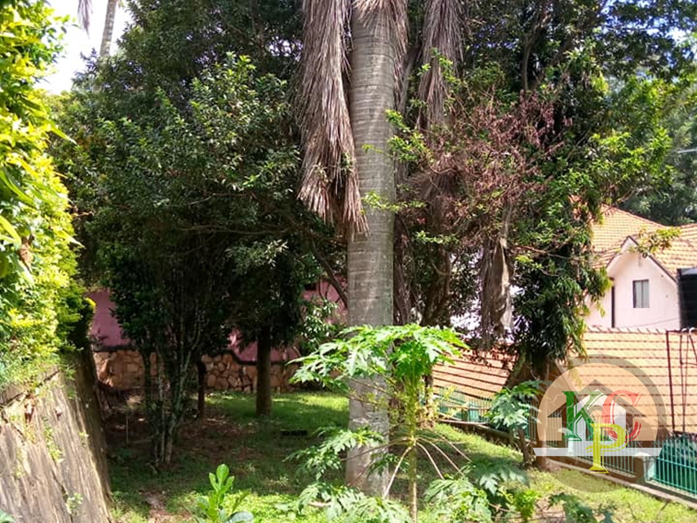 Mansion for rent in Muyenga Kampala