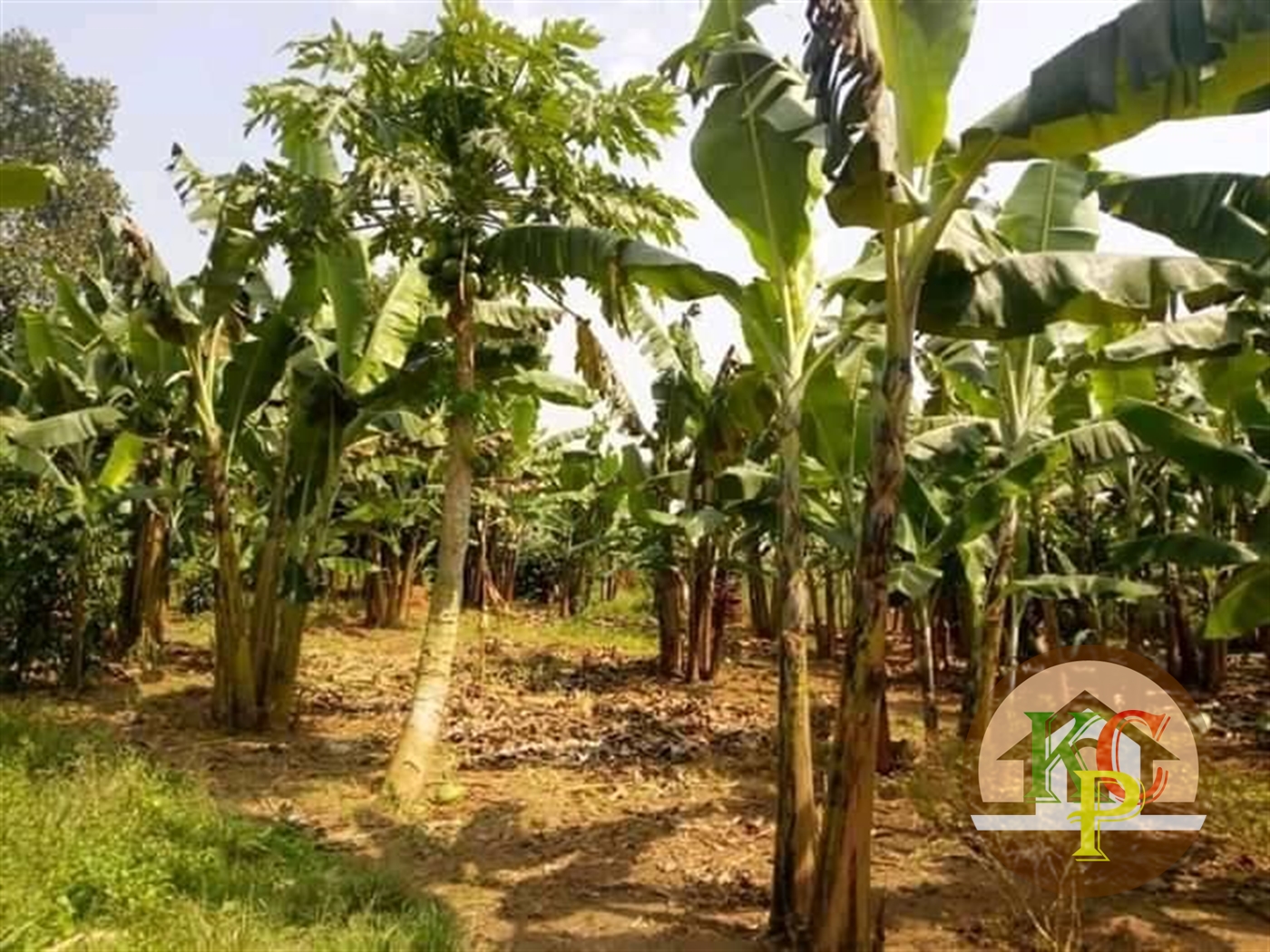 Residential Land for sale in Matugga Wakiso