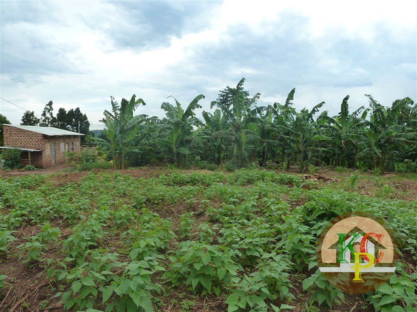 Residential Land for sale in Gayaza Wakiso