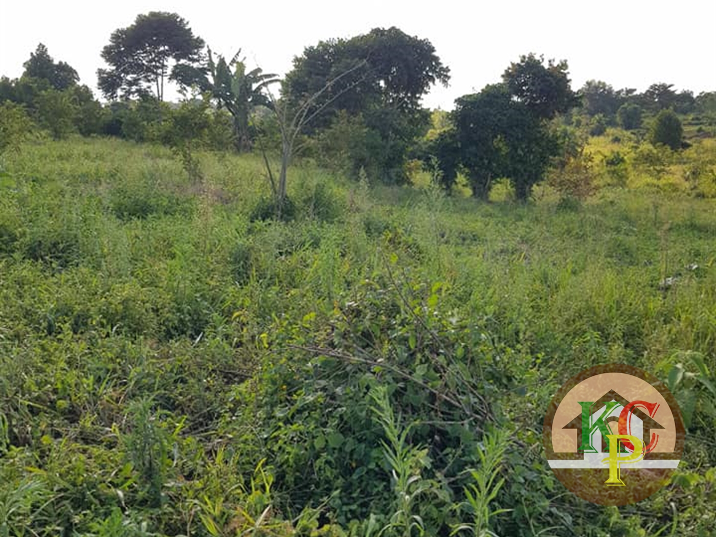 Residential Land for sale in Buwambo Wakiso