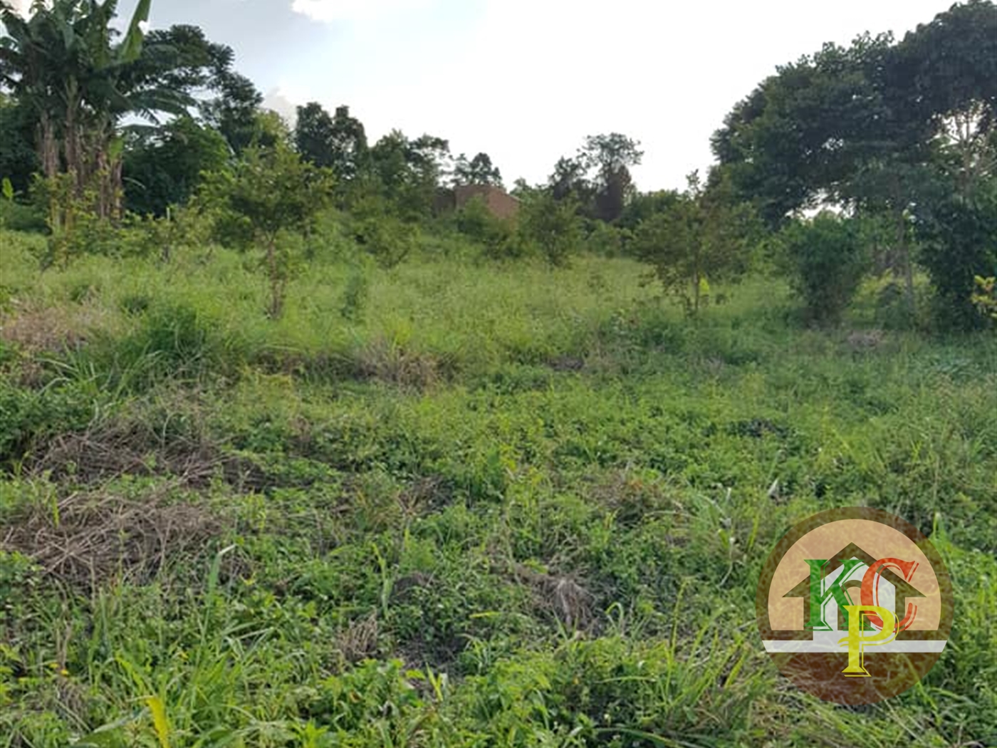 Residential Land for sale in Buwambo Wakiso