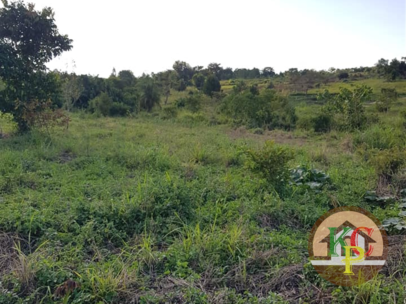 Residential Land for sale in Buwambo Wakiso