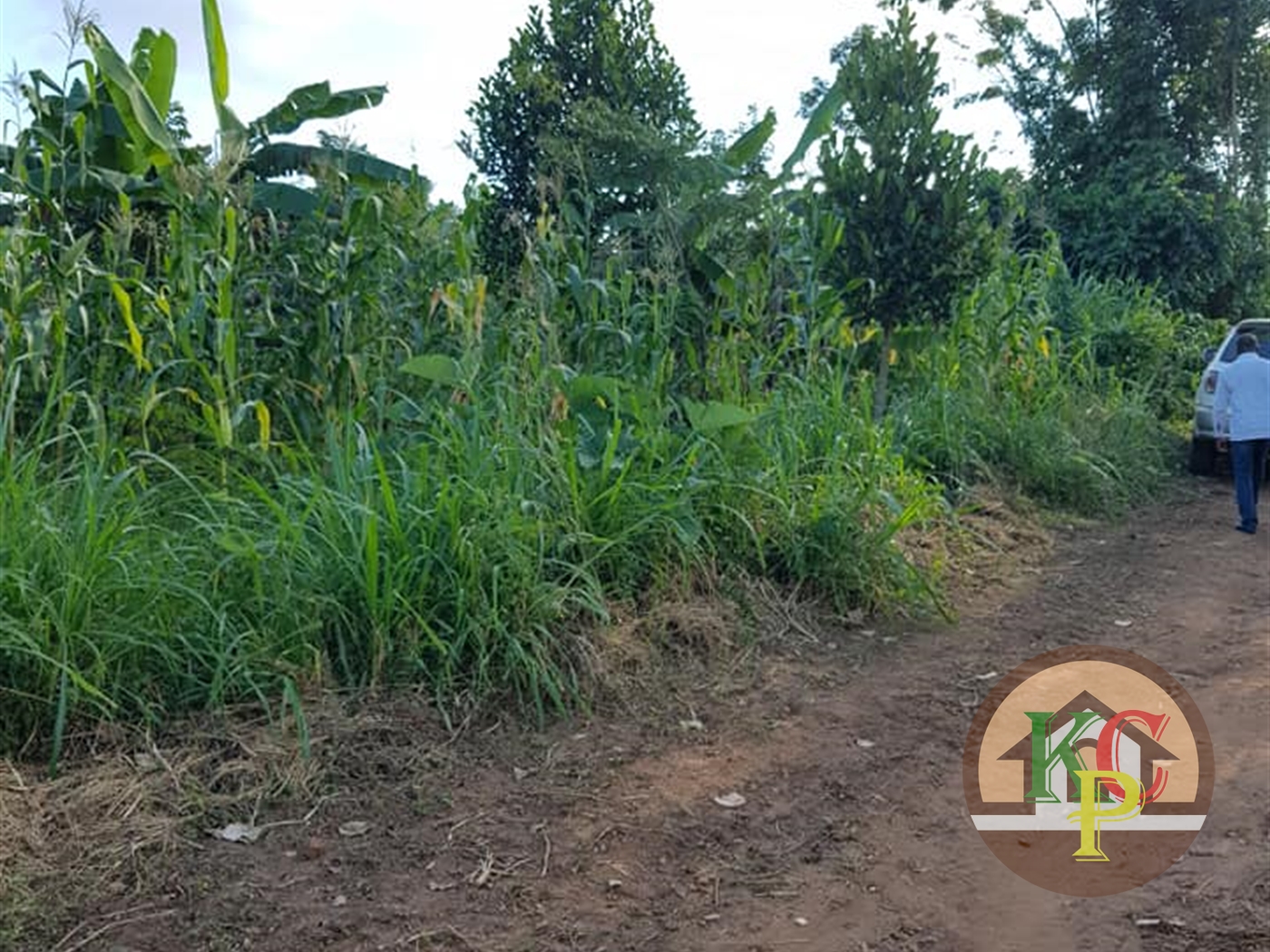 Residential Land for sale in Buwambo Wakiso