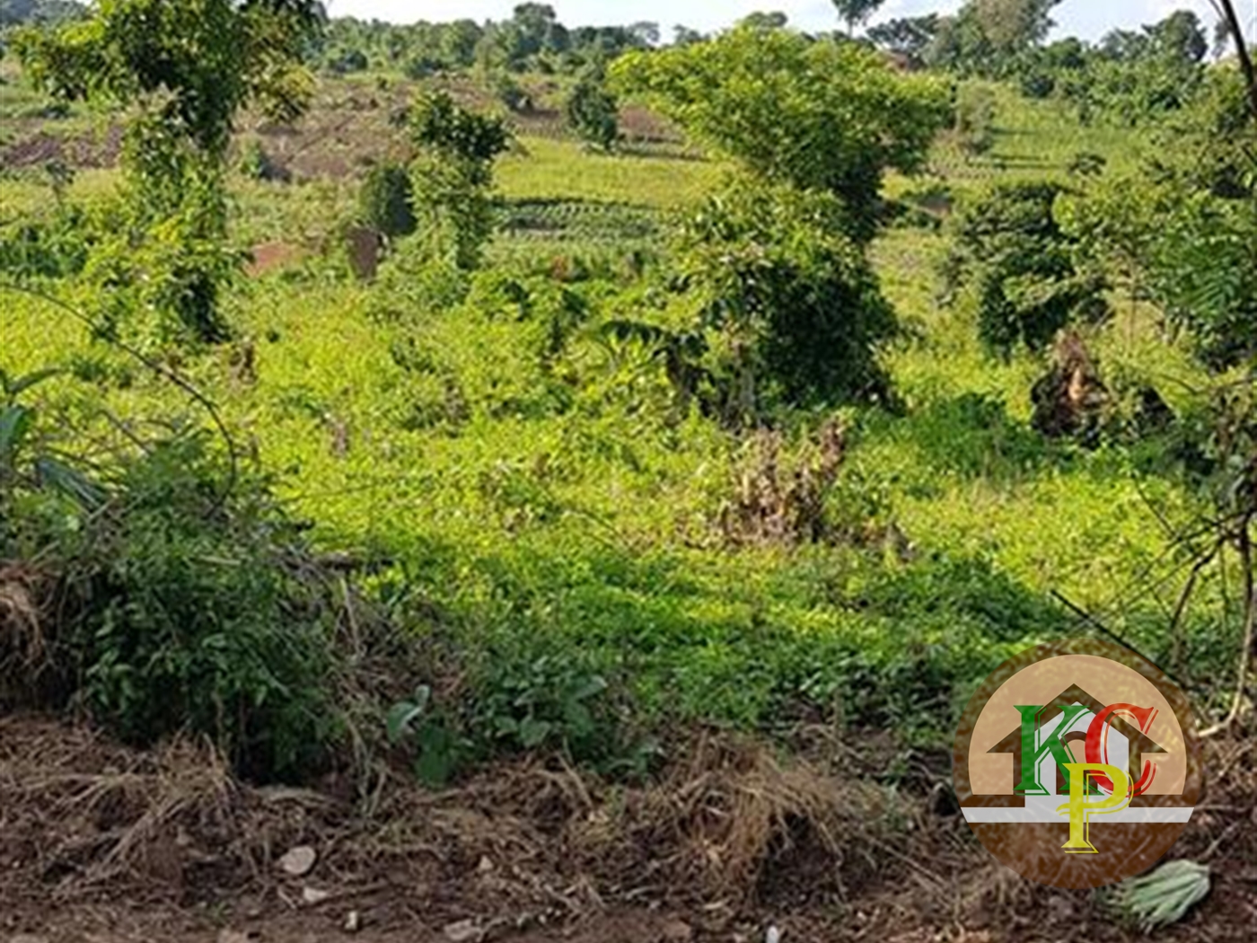 Residential Land for sale in Buwambo Wakiso