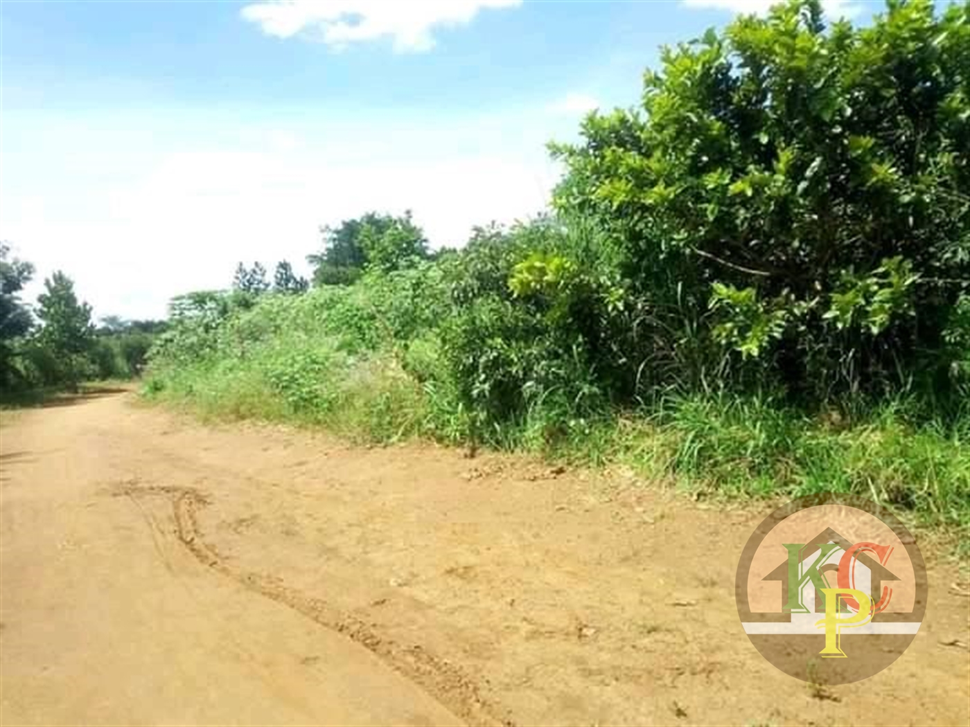 Agricultural Land for sale in Kakooge Luweero