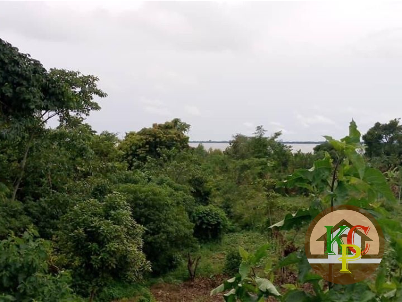 Agricultural Land for sale in Buwaya Wakiso