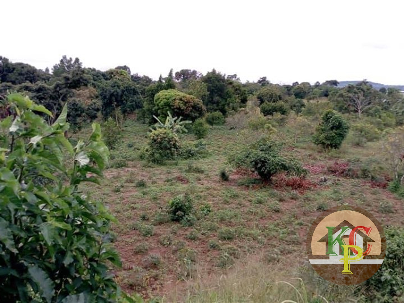 Agricultural Land for sale in Buwaya Wakiso