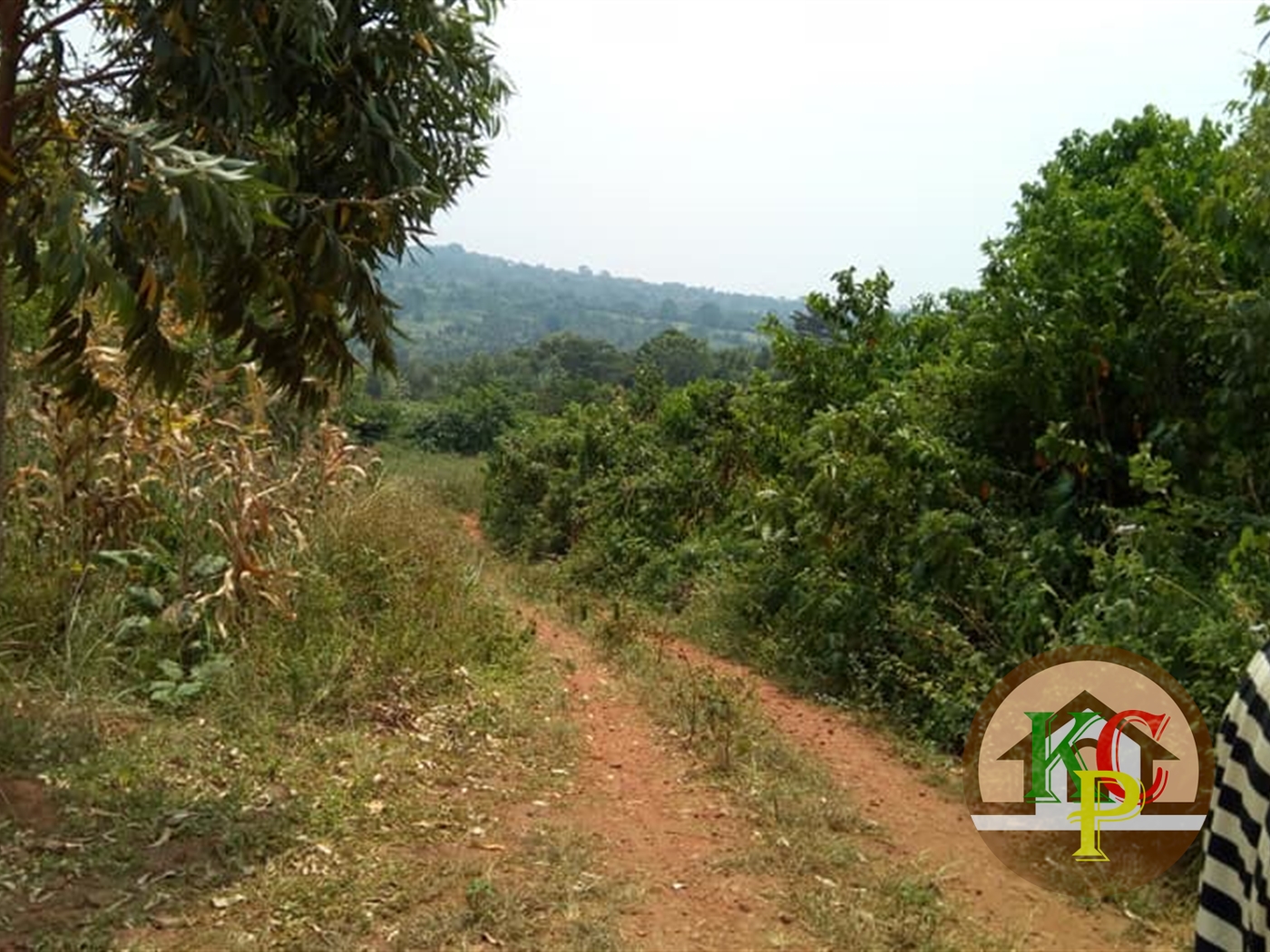 Residential Land for sale in Kasanjje Wakiso