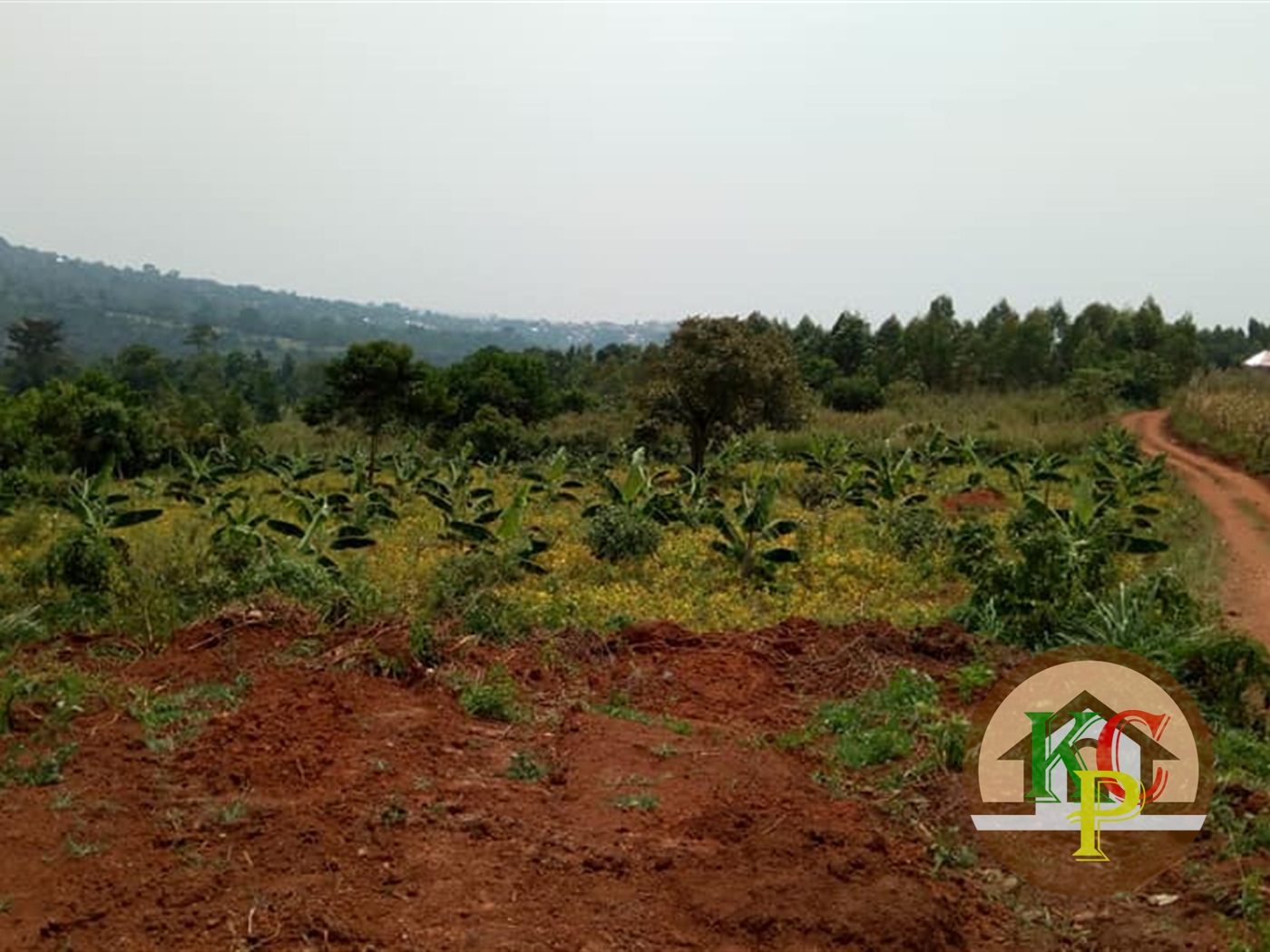 Residential Land for sale in Kasanjje Wakiso