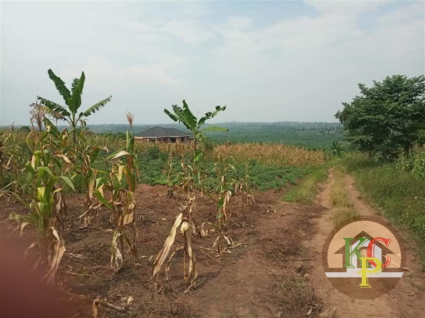 Residential Land for sale in Kasayi Mukono