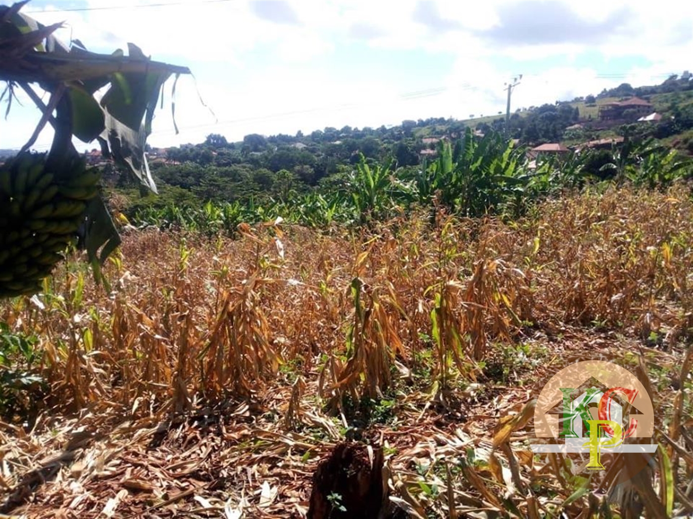 Agricultural Land for sale in Namulanda Wakiso