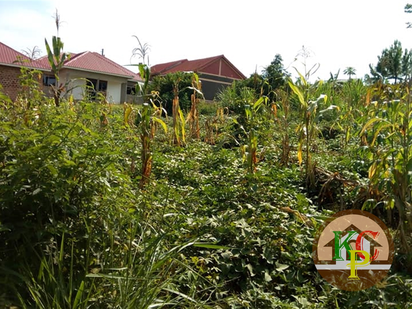 Residential Land for sale in Kiyunga Mukono