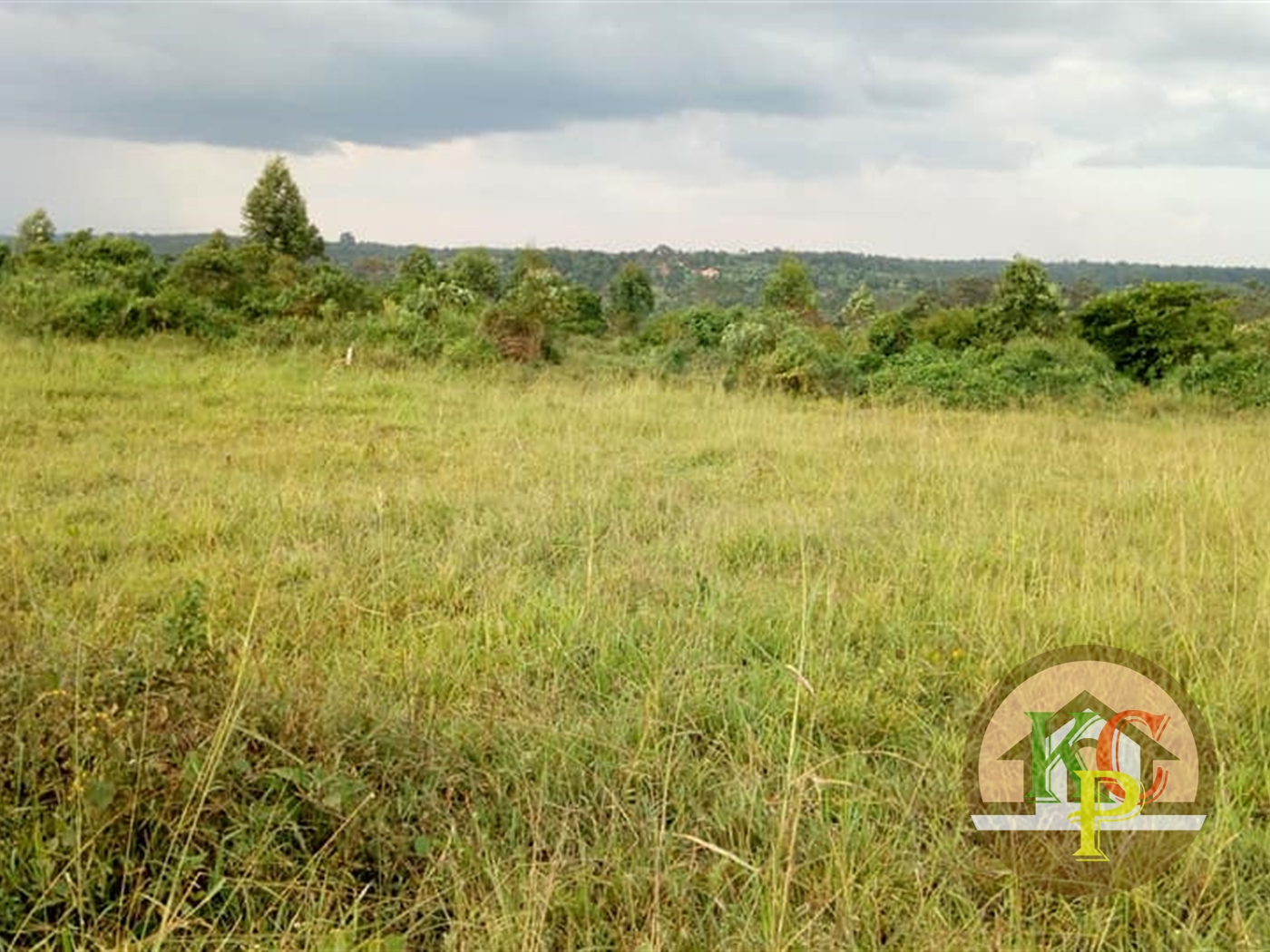 Residential Land for sale in Bukeelele Mukono