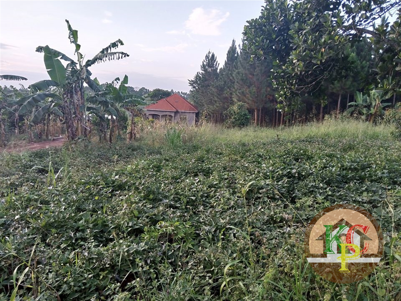 Residential Land for sale in Gayaza Wakiso