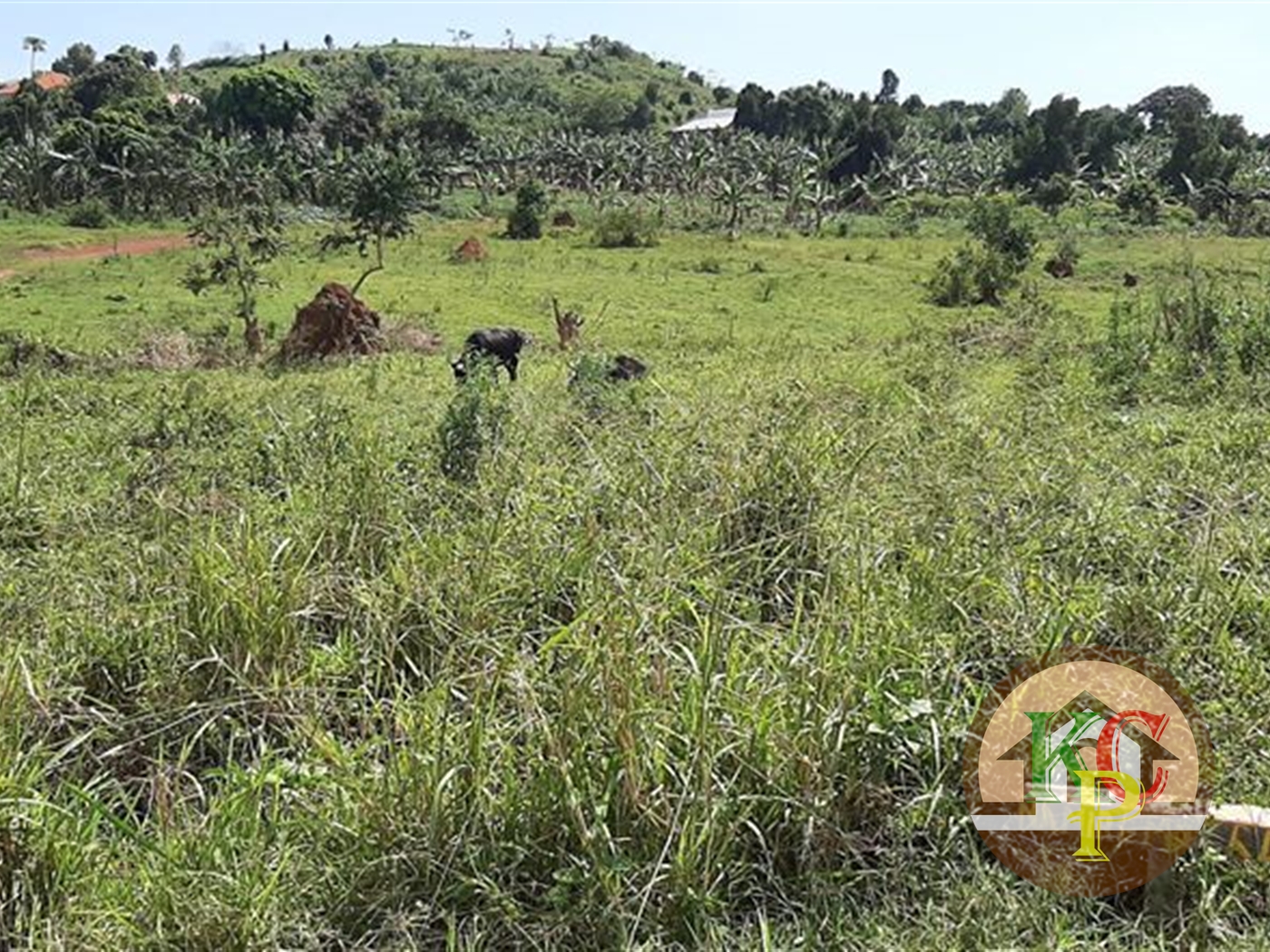 Residential Land for sale in Kira Wakiso