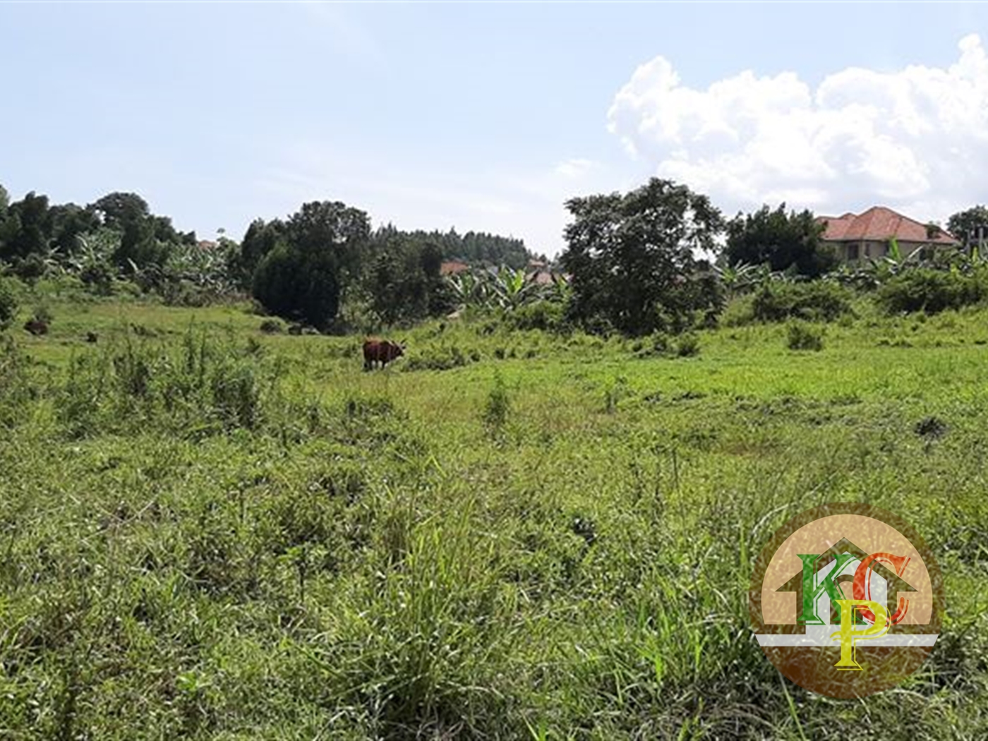 Residential Land for sale in Kira Wakiso