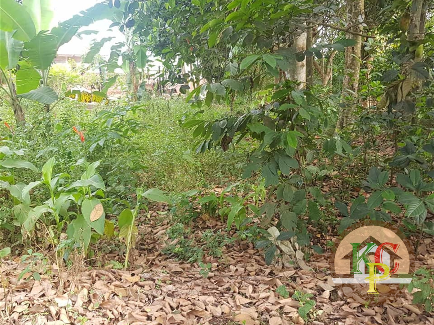 Residential Land for sale in Buwaate Kampala