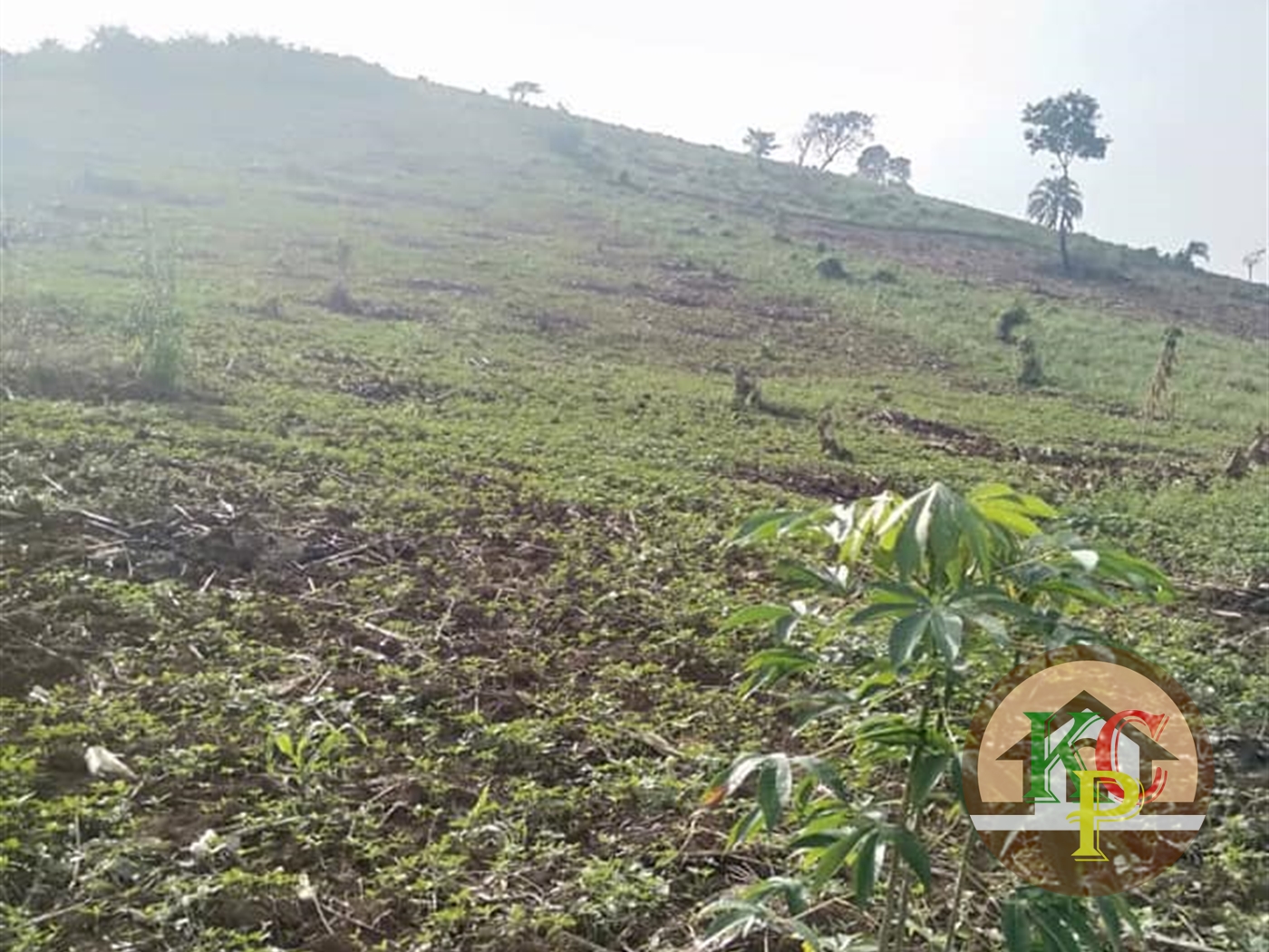 Agricultural Land for sale in Lwamata Kiboga