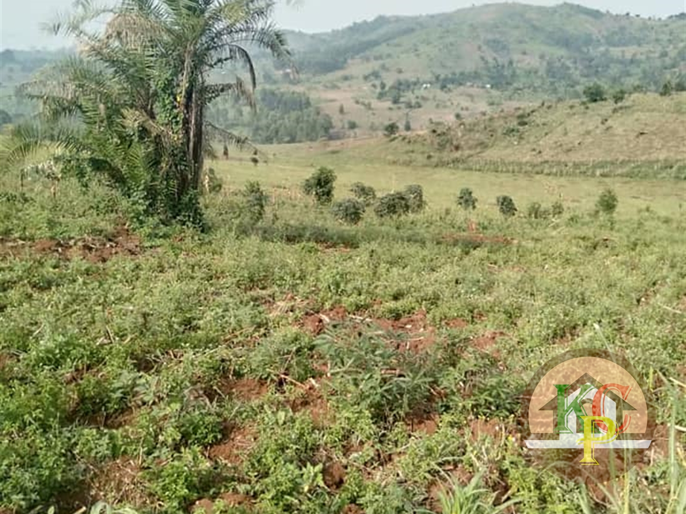 Agricultural Land for sale in Lwamata Kiboga