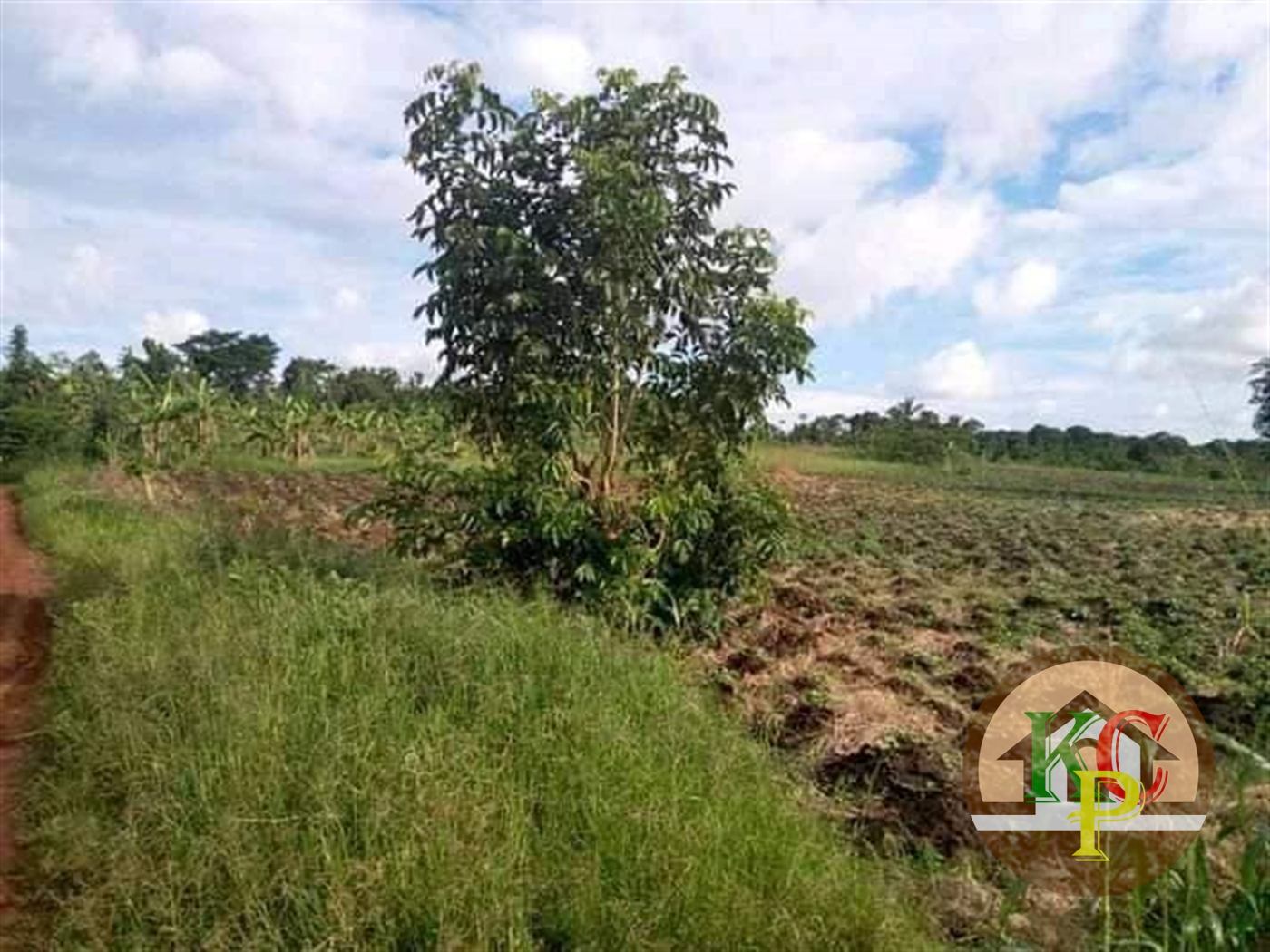 Agricultural Land for sale in Ziloobwe Wakiso