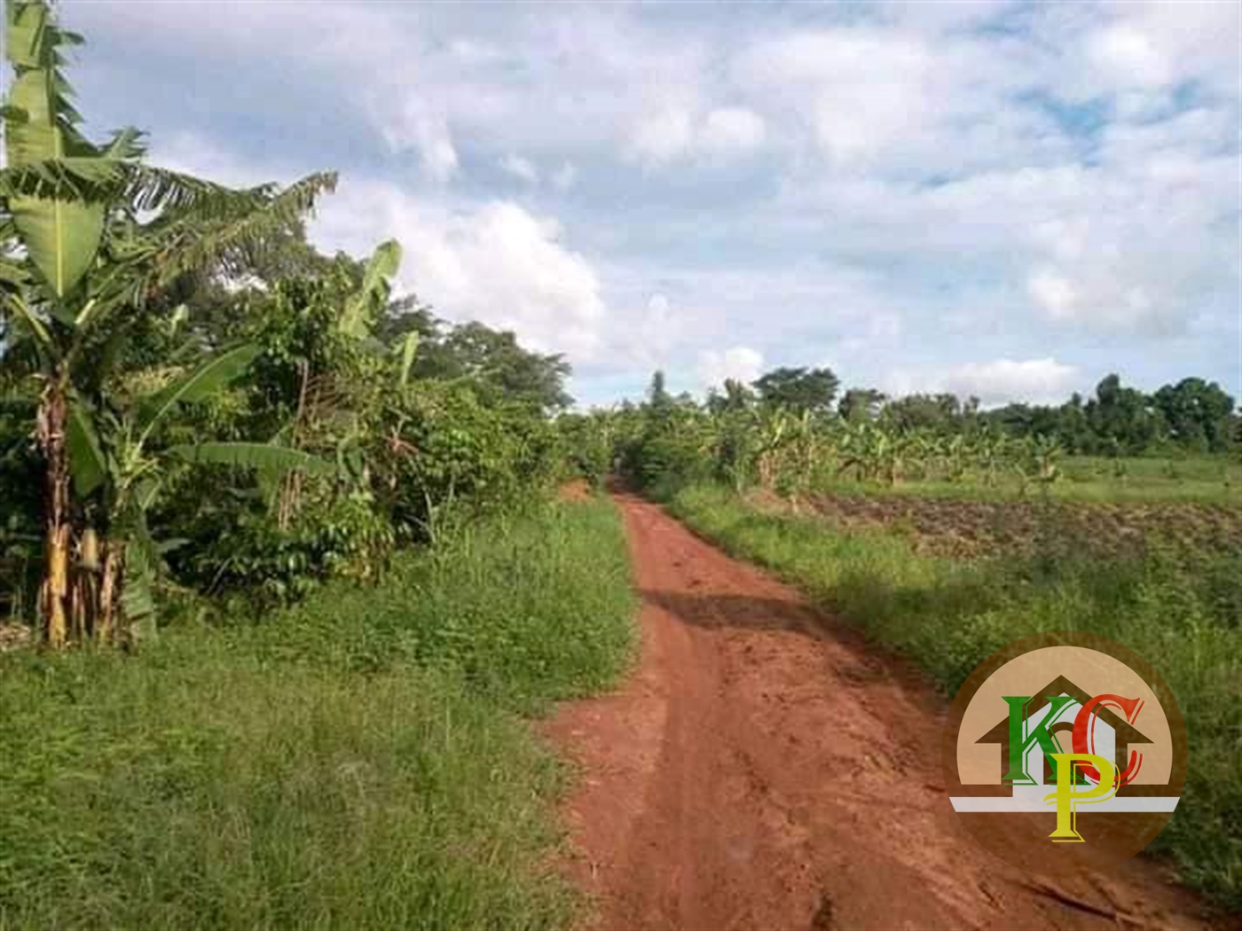 Agricultural Land for sale in Ziloobwe Wakiso