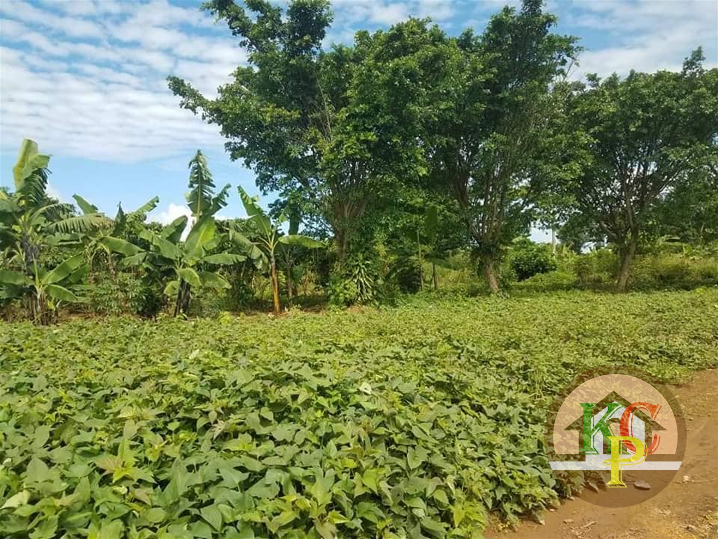 Agricultural Land for sale in Ziloobwe Wakiso