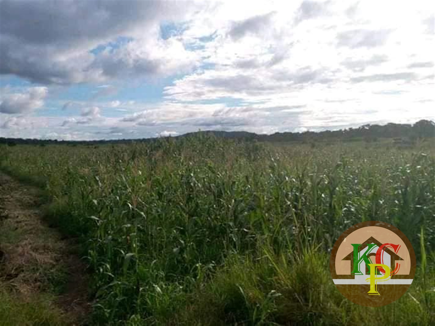 Agricultural Land for sale in Ziloobwe Wakiso