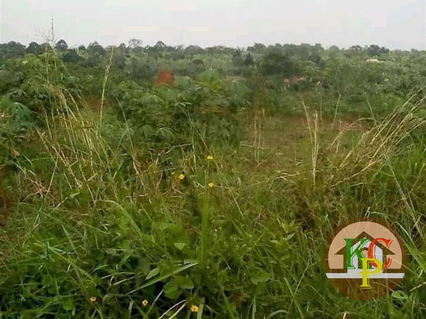 Agricultural Land for sale in Matugga Wakiso