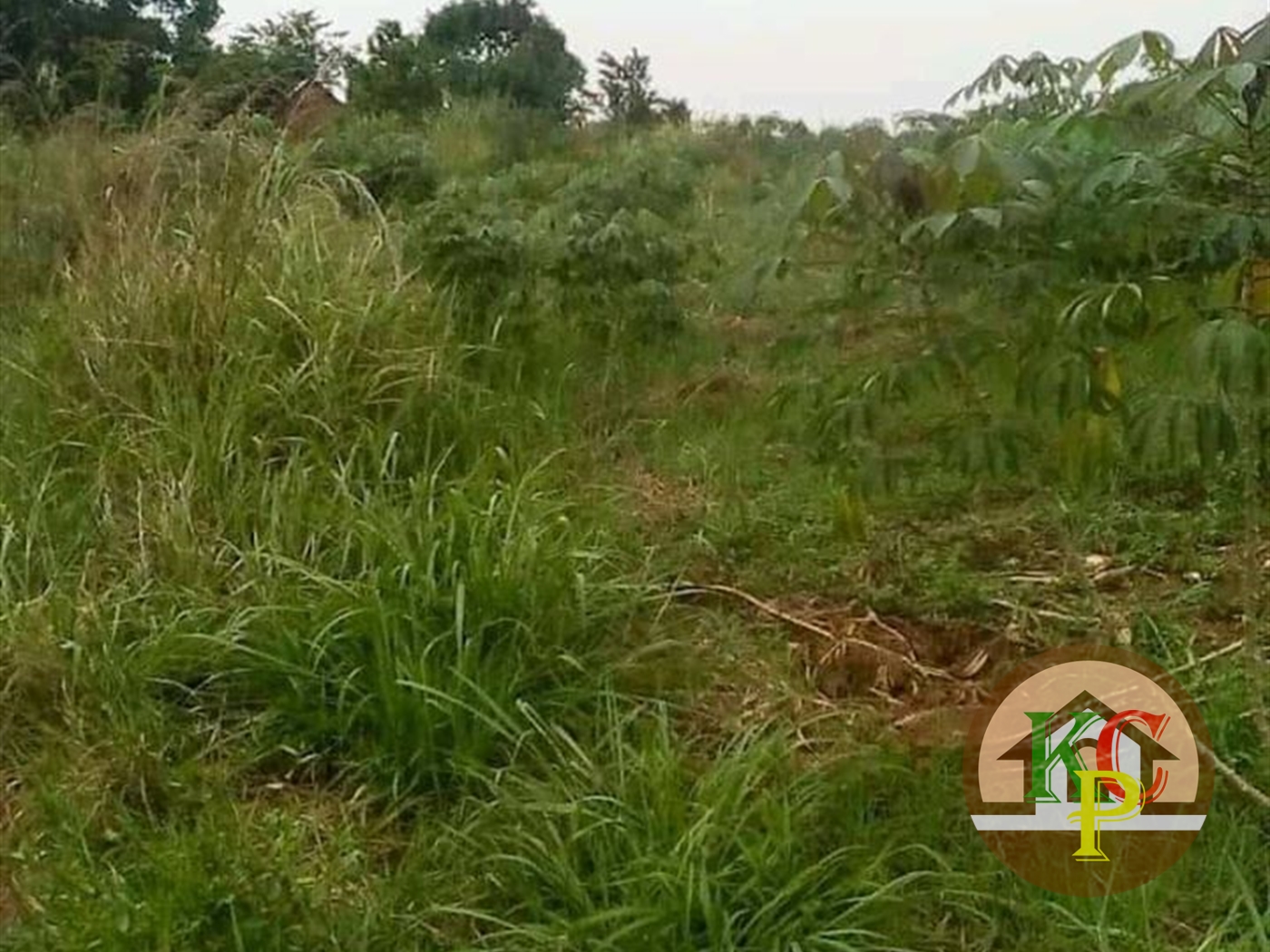 Agricultural Land for sale in Matugga Wakiso