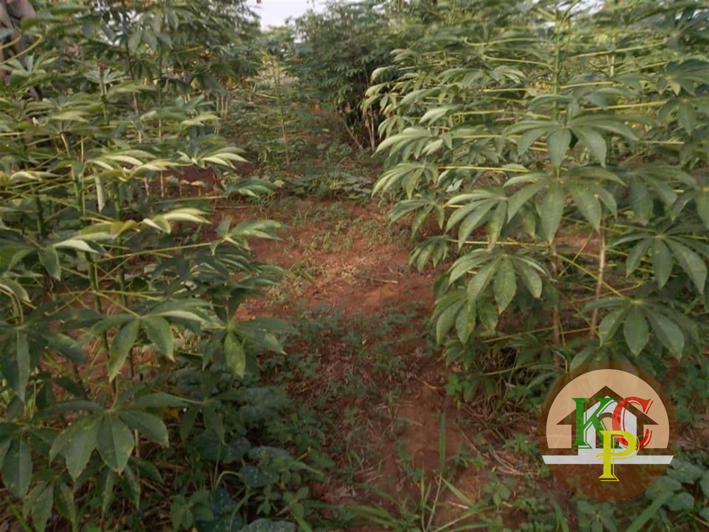 Agricultural Land for sale in Buzibwela Luweero