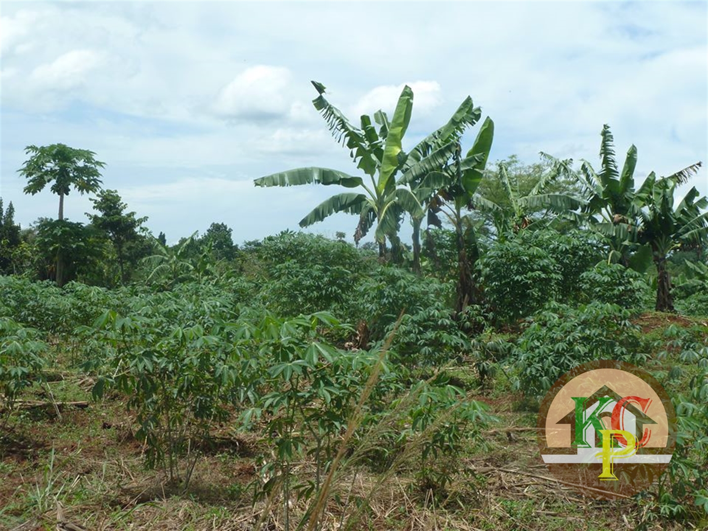 Residential Land for sale in Ziloobwe Wakiso