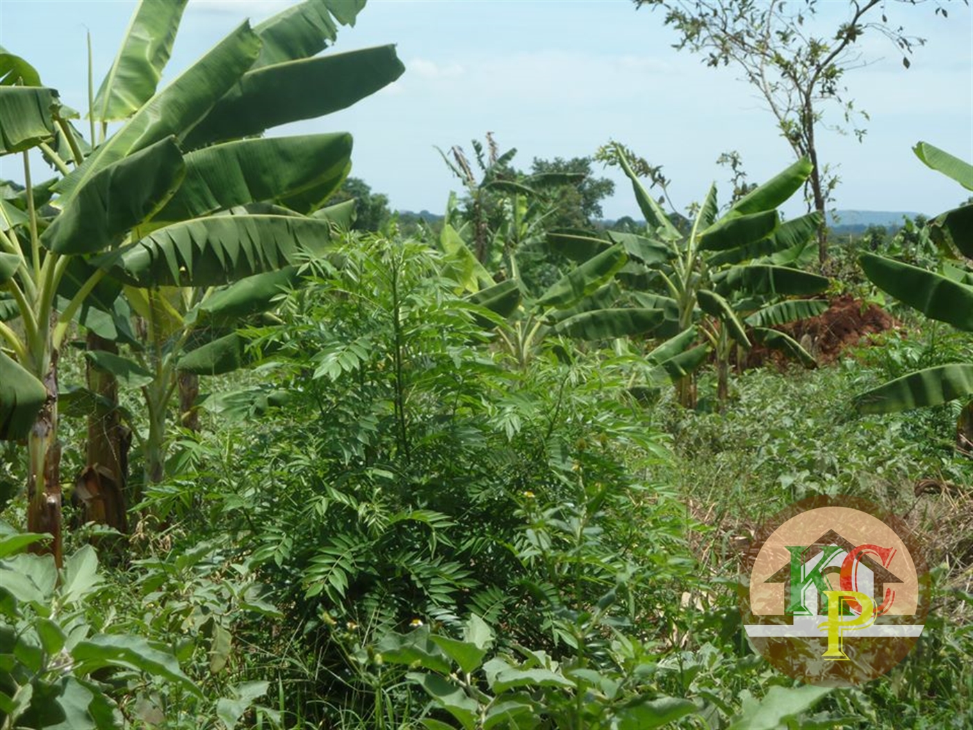 Residential Land for sale in Ziloobwe Wakiso