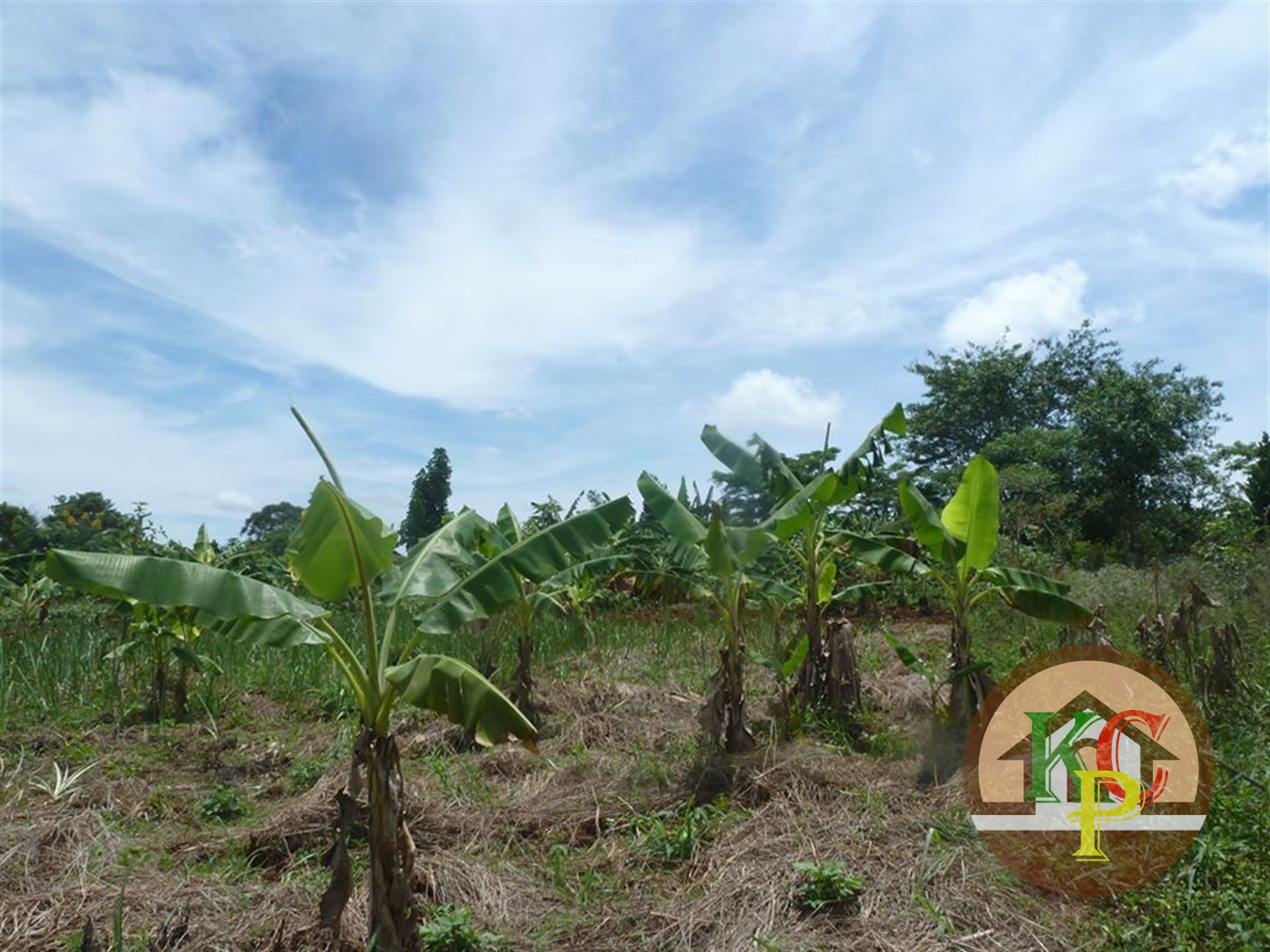 Residential Land for sale in Ziloobwe Wakiso