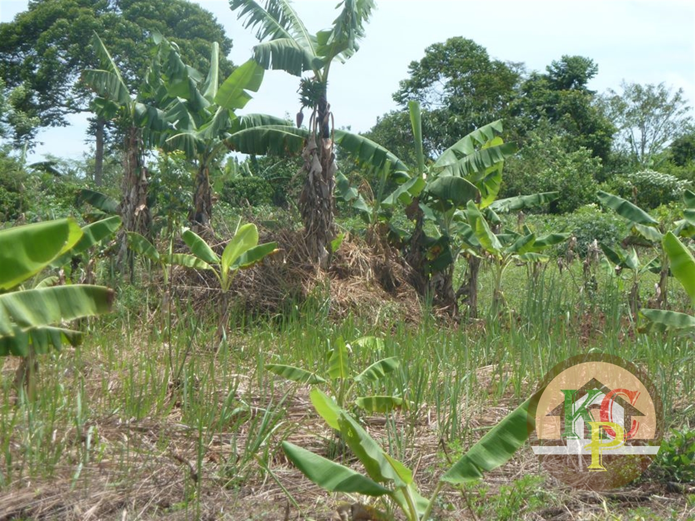 Residential Land for sale in Ziloobwe Wakiso