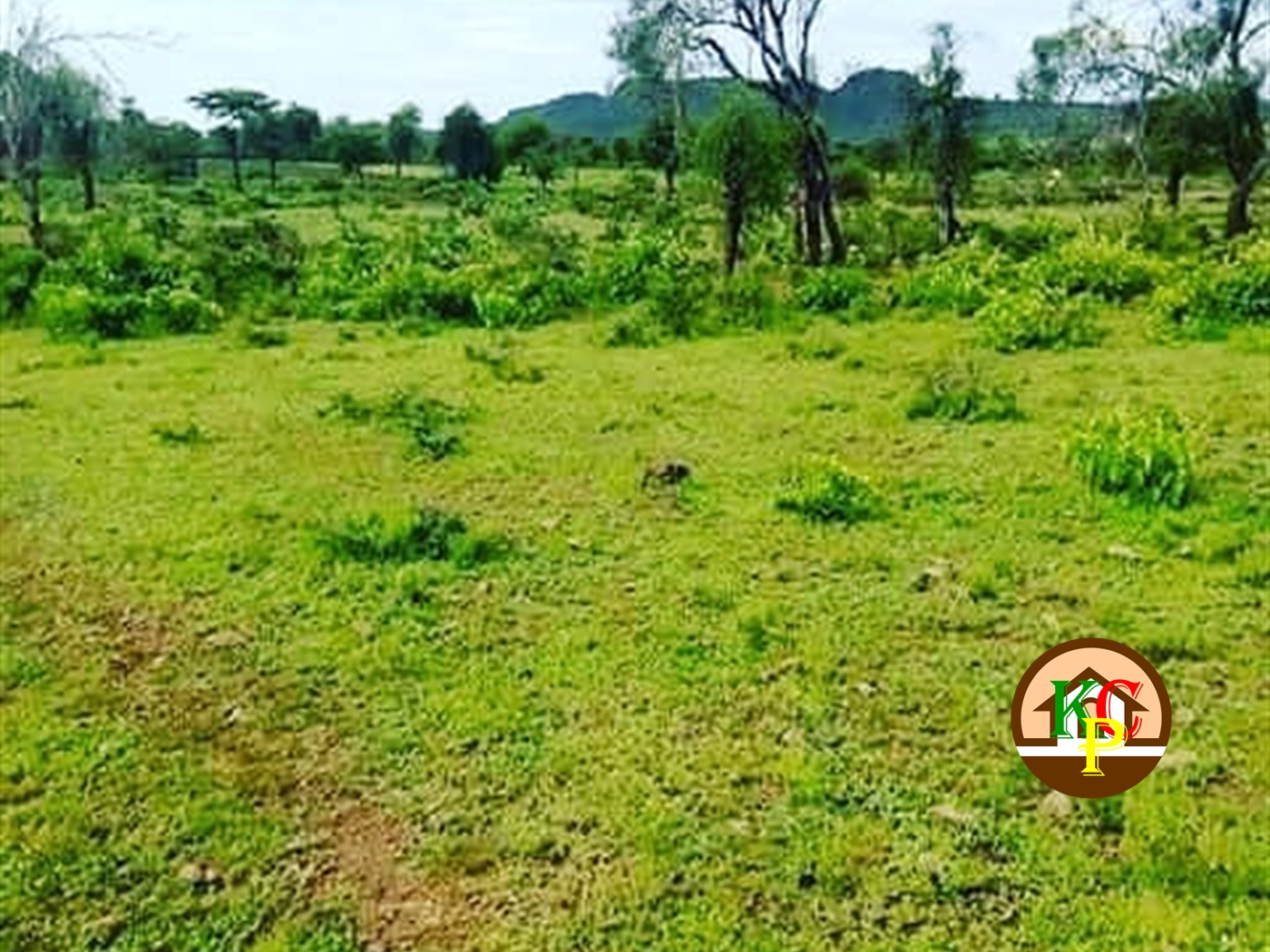 Residential Land for sale in Kayoonza Luweero