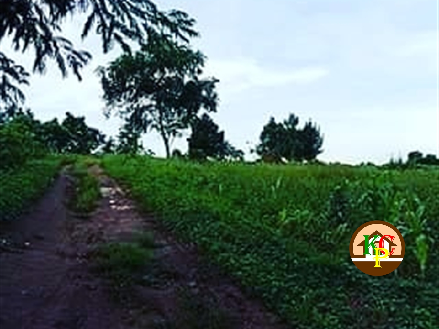 Residential Land for sale in Kayoonza Luweero