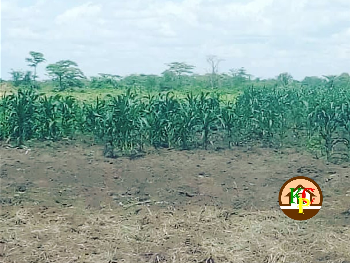 Residential Land for sale in Kayoonza Luweero