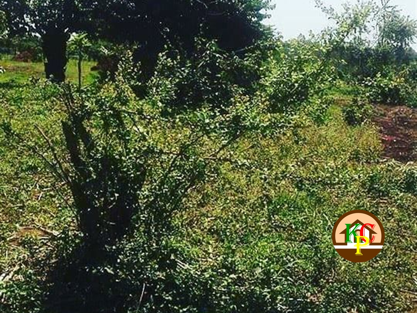 Residential Land for sale in Kayoonza Luweero