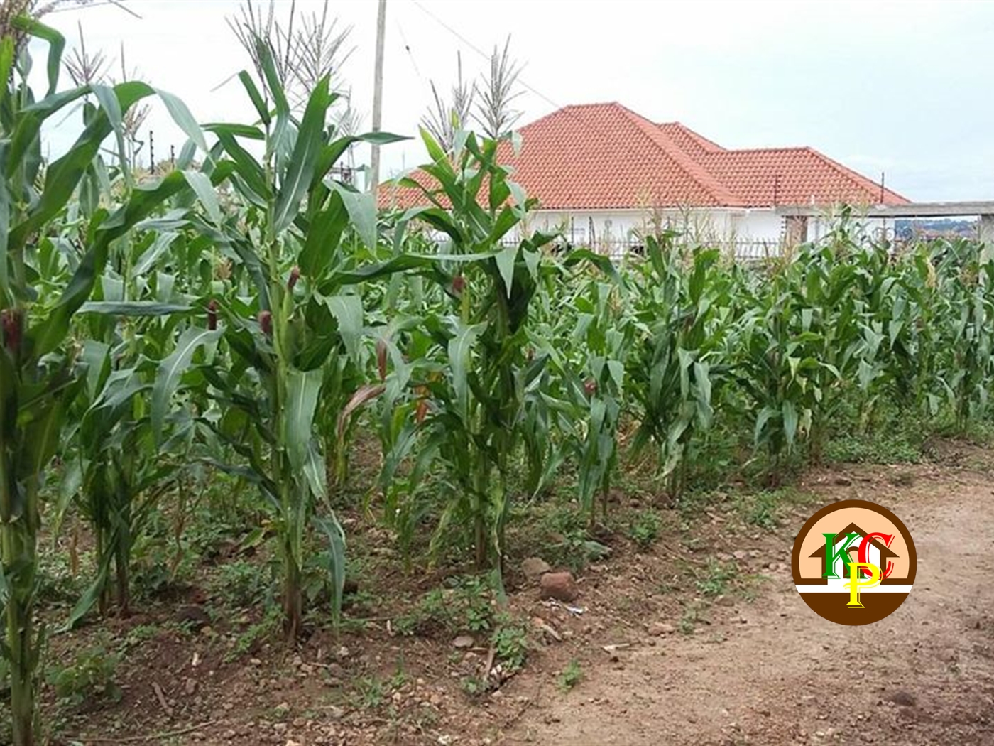 Residential Land for sale in Kira Wakiso