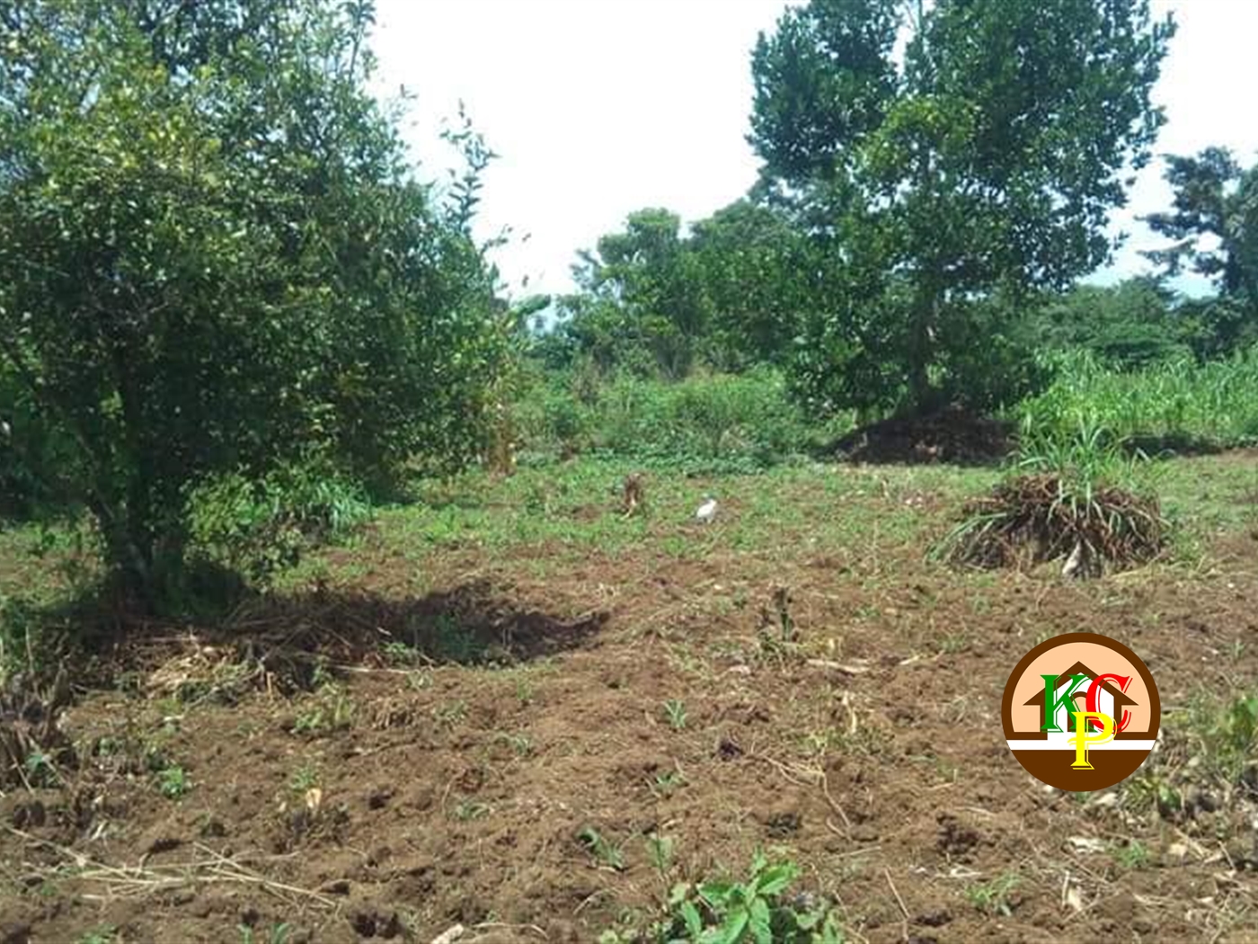 Residential Land for sale in Katosi Mukono