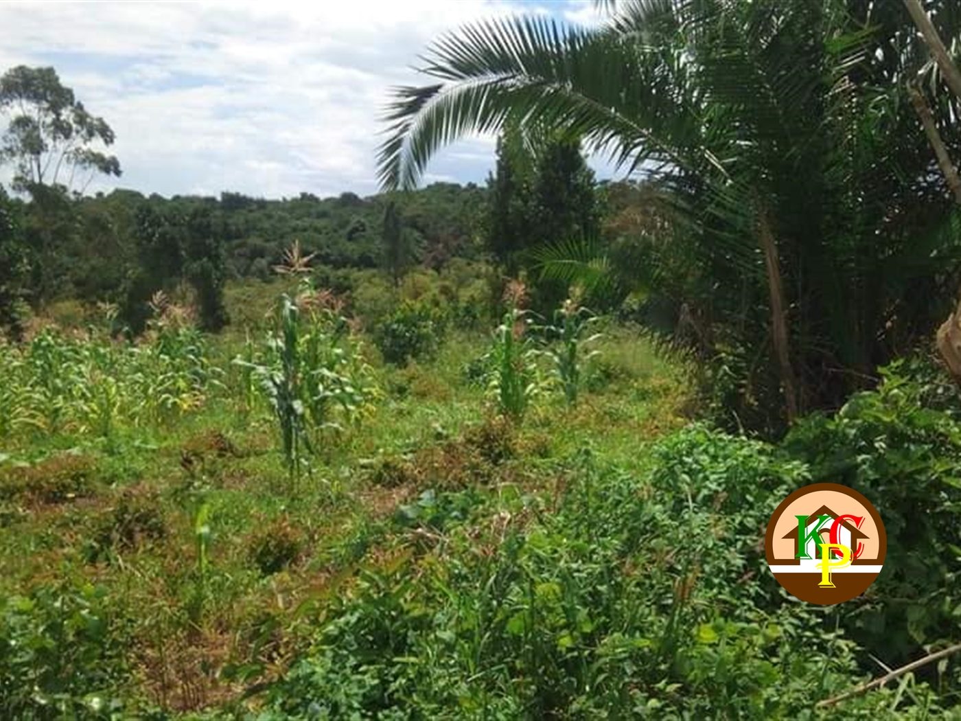 Residential Land for sale in Katosi Mukono